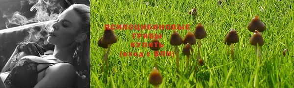 прущий лед Армянск