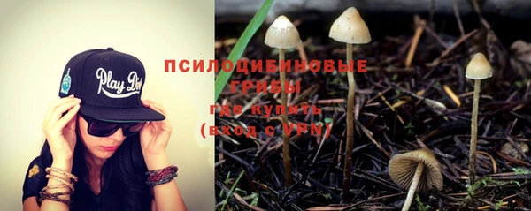 прущий лед Армянск